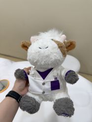 -上海首尔丽格医疗美容医院