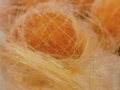 -食神鱼头佛跳墙(百子湾旗舰店)