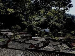 -杨家堂村