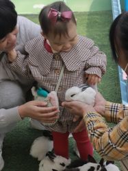 -萌宠亲子动物乐园(槐房万达店)