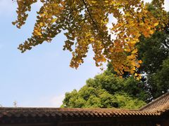 -钱王祠