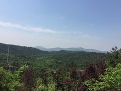 -曹家小菜(胜太路店)