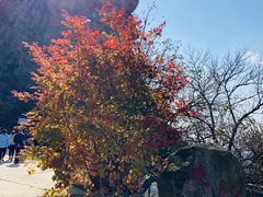 -丹东天桥沟景区