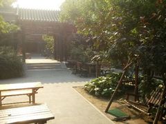 晨曦-北京和园国际青年客栈