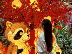 -正佳雨林生态植物园