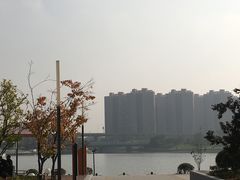 -映月湖中央公园