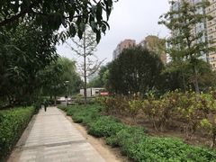 -石榴庄公园