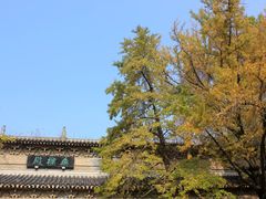 -灵谷景区