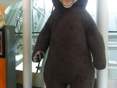 -济州岛泰迪熊博物馆