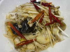 葱油螺片-小海丁