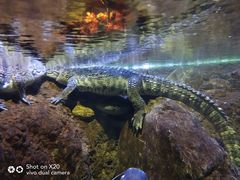 -成都浩海立方海洋公园