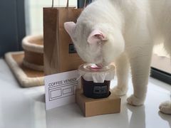 -CoffeeVendor(西乡店)