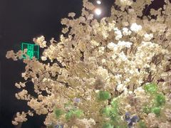-上海滩餐厅(BFC外滩金融中心店)