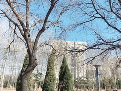 -招商银行(北京青年路支行)