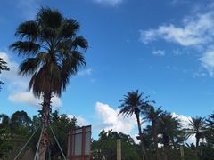 -江门古兜温泉小镇