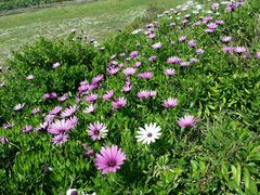 android_upload_pic-Kate's Berry Farm