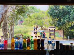 -中国科学院西双版纳热带植物园