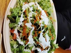 -油梨树 AVOCADO TREE(亮马桥店)