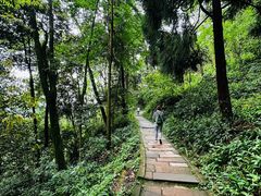 -青城山