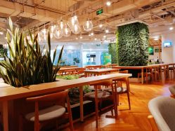 -悦诗风吟innisfree