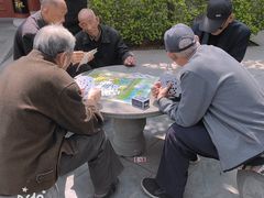 -大槐树寻根祭祖园