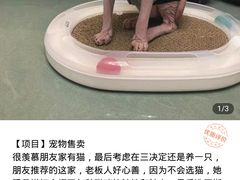 -喵zoo家庭繁育猫舍(尖东智能花园店)