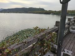 -湖畔居茶楼(湖滨店)