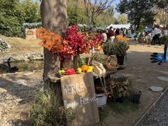 -HERRE·FARM 赫尔露营农场·团建聚会包场