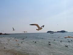 -傅家庄公园