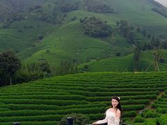 -帐篷客·溪龙茶谷度假酒店