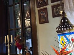 -Uncle Kosto科斯托·中东菜