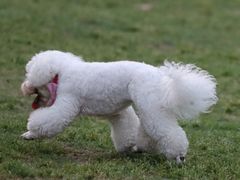 -环城公园-琥珀潭