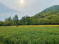 -八卦田遗址公园