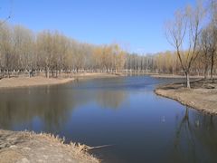 -东郊湿地公园