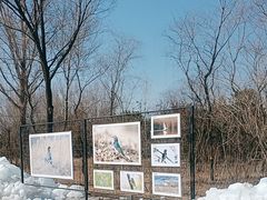 -野鸭湖国家湿地公园