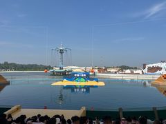 -秦皇岛乐岛海洋王国