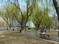 -廊坊文化艺术中心