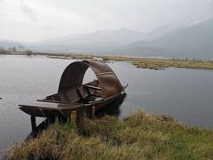 -腾冲北海湿地