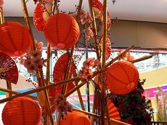 -浩海火烧云傣家菜(京广店)