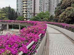 -haxnbauer海森堡德国餐厅(深圳coco店)
