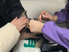-瑞派宠物医院·24h·骨外科·皮肤科·全科宠物医疗转诊中心(沈阳浑南院)