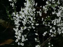 -中国茶叶博物馆(双峰馆区)