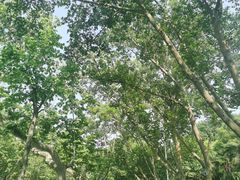 -阿达西新疆餐厅(西北大学店)