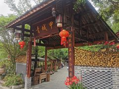 -青城甲(青城山店)