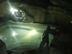 -海口观澜湖火山温泉谷