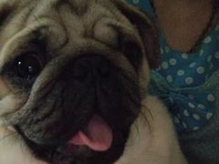 -有才叔的小馆(招商依云曲江店)