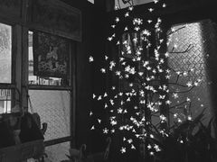 -三小姐咖啡店西餐下午茶(太平门直街店)
