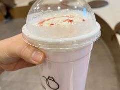 草莓鲜牛乳-飞行喵MR PILOT|猫舍·猫咖(静安大融城店)