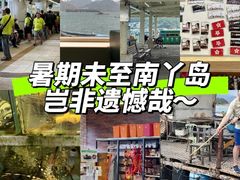 -南丫岛