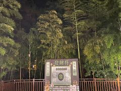 -天目湖涵田半山温泉